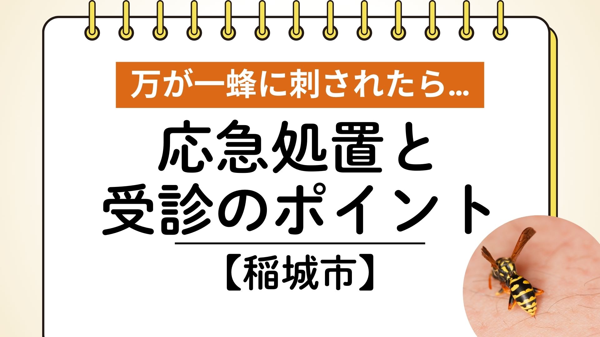万が一蜂に刺されたら…応急処置と受診のポイント【稲城市】