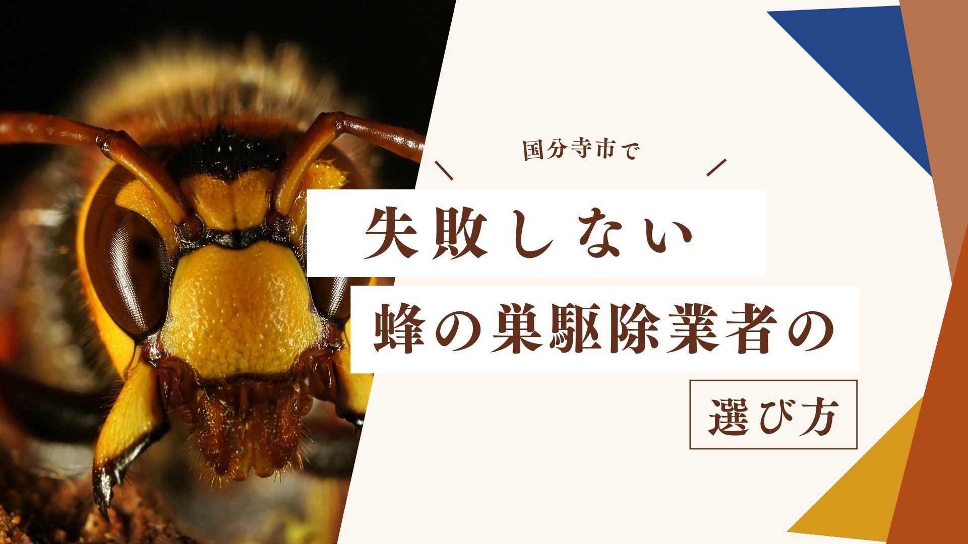 国分寺市で失敗しない蜂の巣駆除業者の選び方