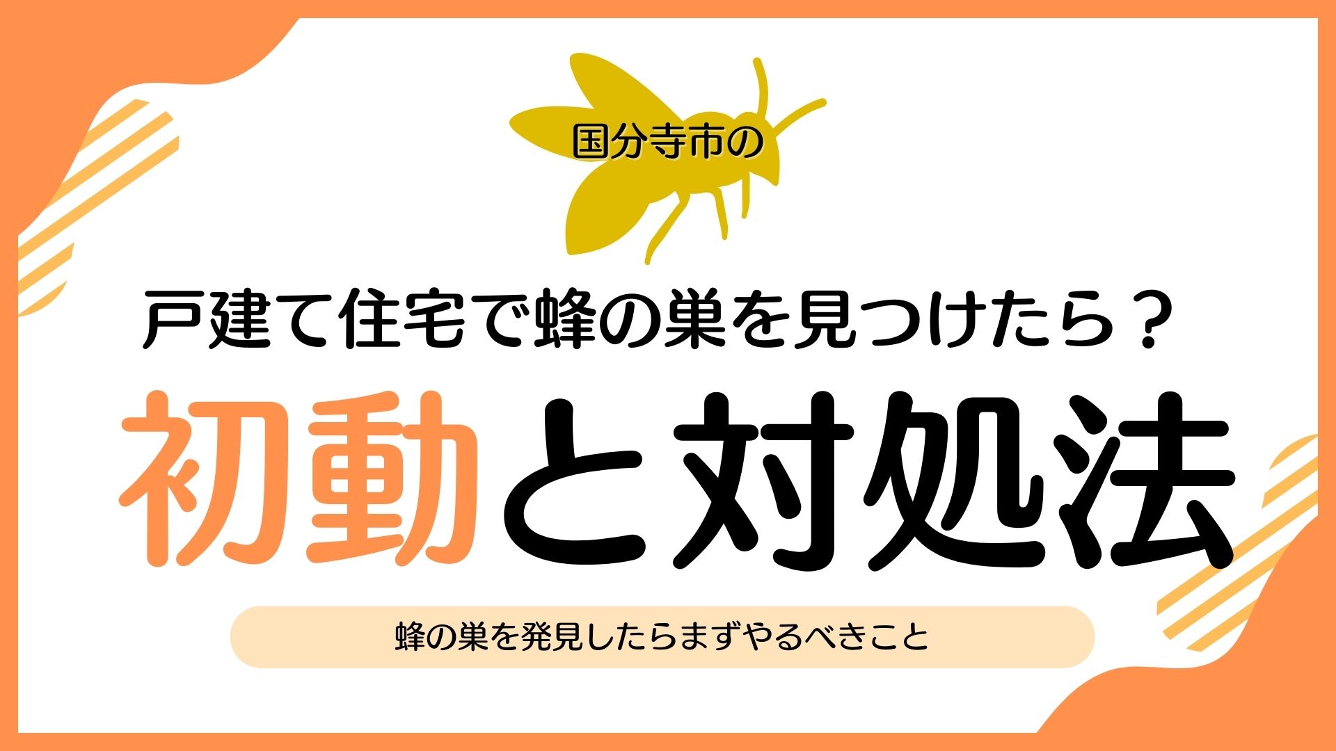 国分寺市の戸建て住宅で蜂の巣を見つけたら？初動と対処法