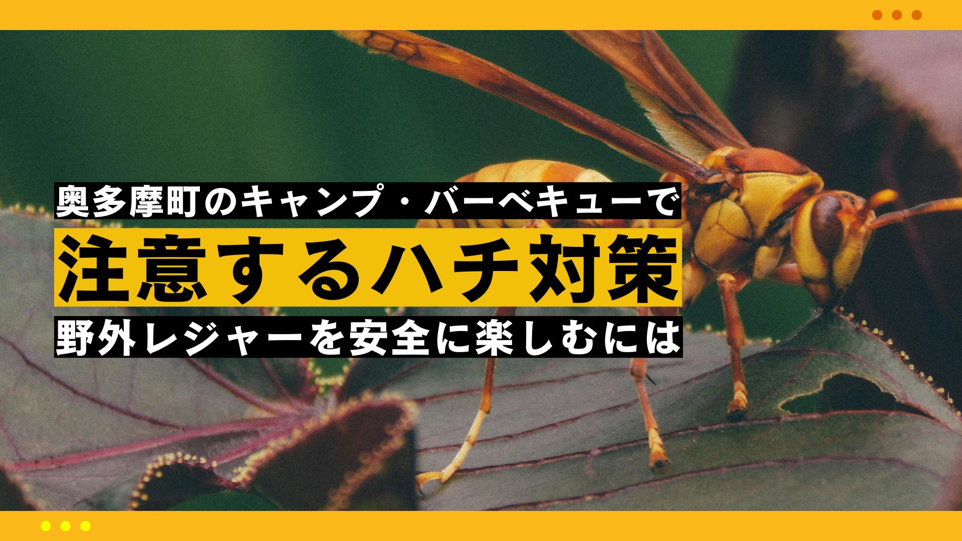 奥多摩町のキャンプ・バーベキューで注意するハチ対策｜野外レジャーを安全に楽しむには