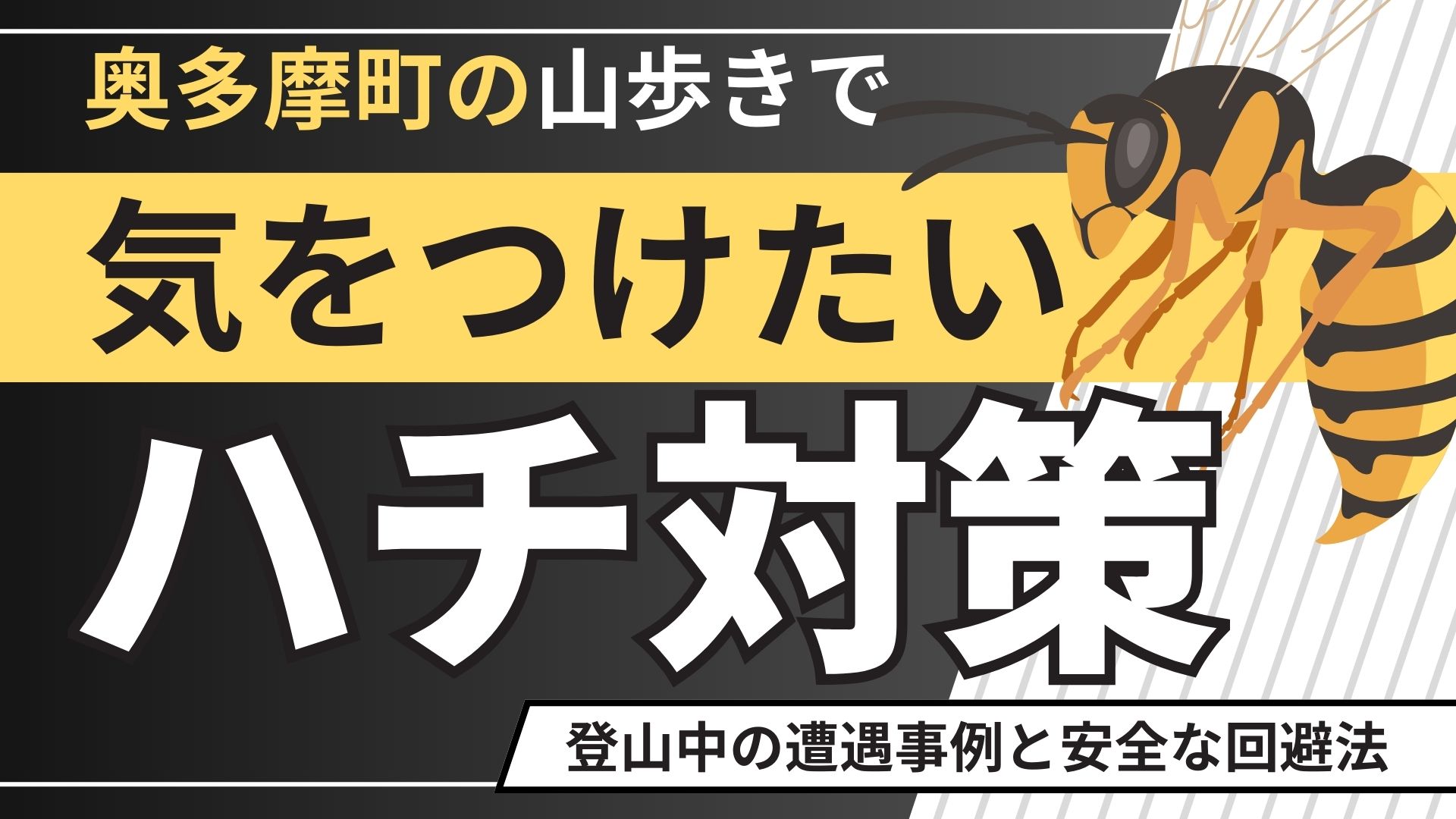 奥多摩町の山歩きで気をつけたいハチ対策｜登山中の遭遇事例と安全な回避法