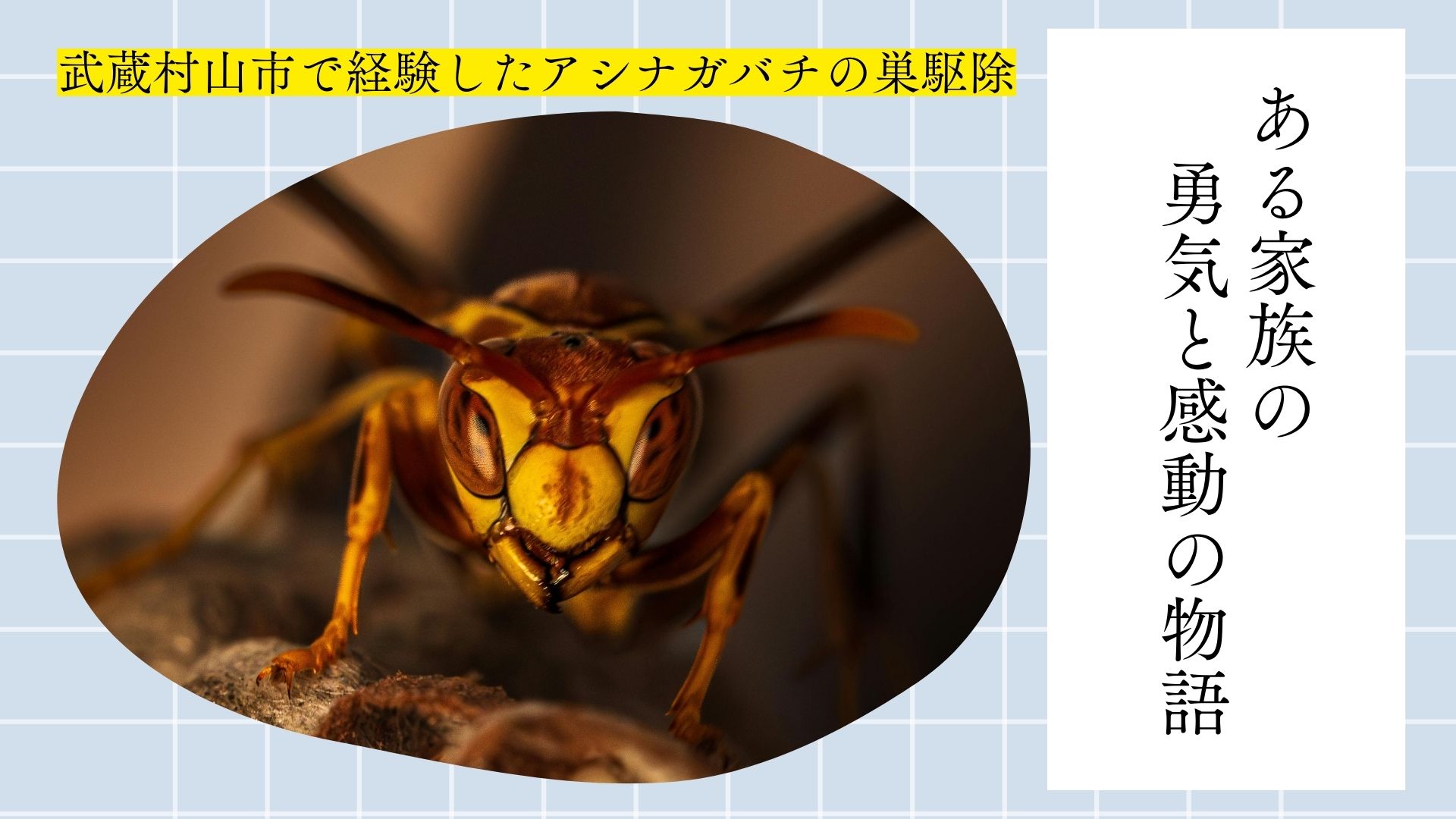武蔵村山市で経験したアシナガバチの巣駆除：ある家族の勇気と感動の物語