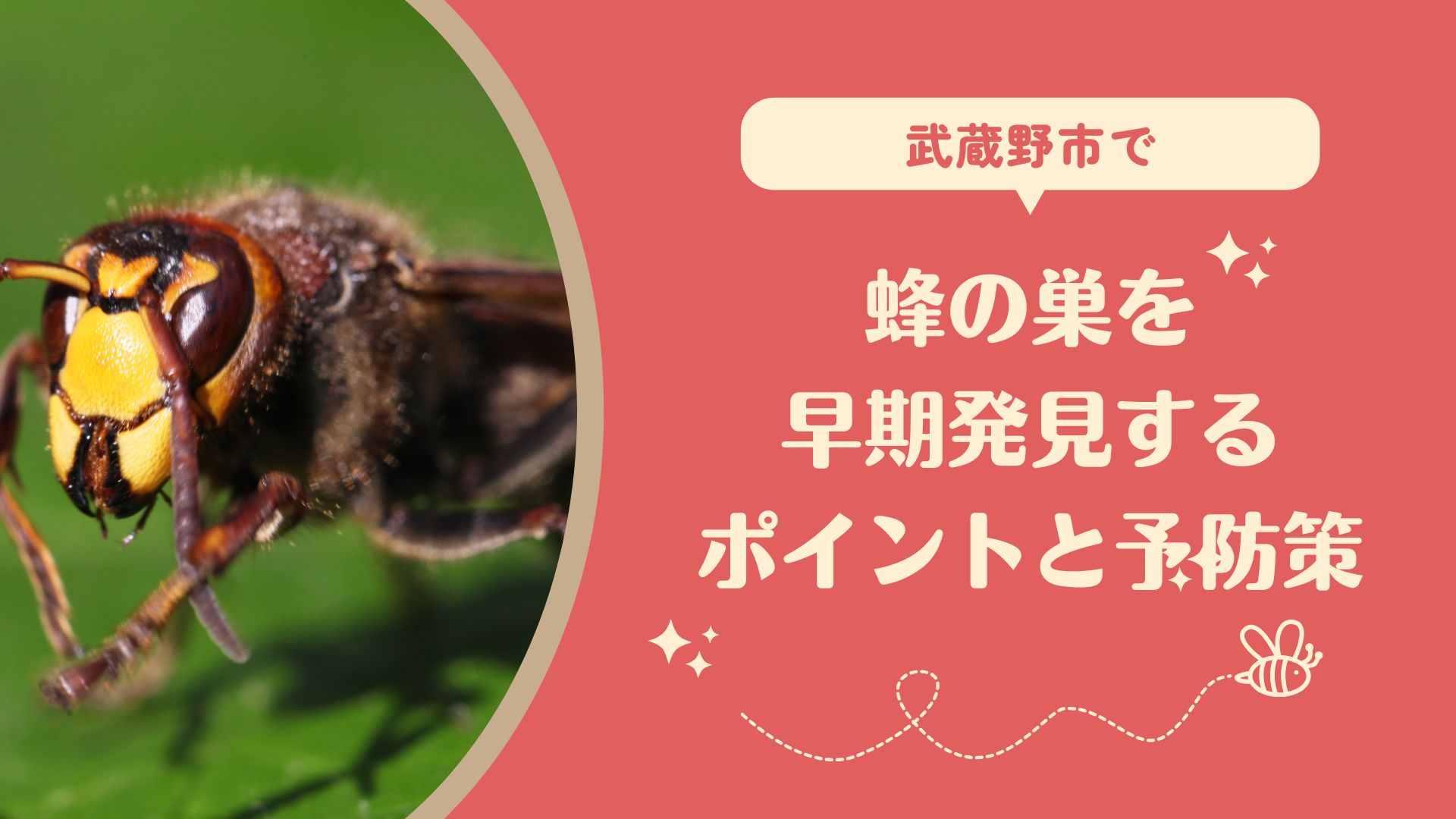 武蔵野市で蜂の巣を早期発見するポイントと予防策
