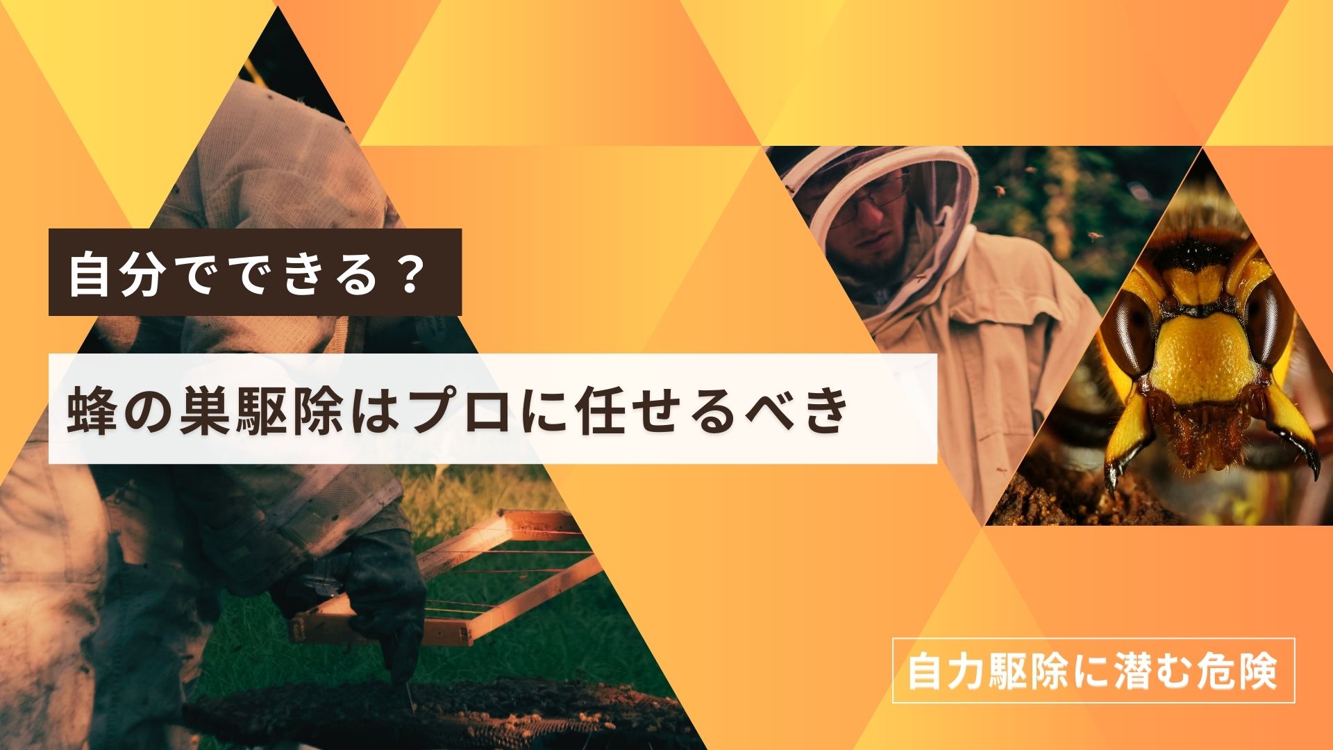 自分でできる？蜂の巣駆除はプロに任せるべき【国分寺市】