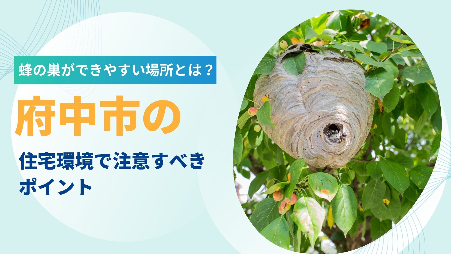蜂の巣ができやすい場所とは？府中市の住宅環境で注意すべきポイント