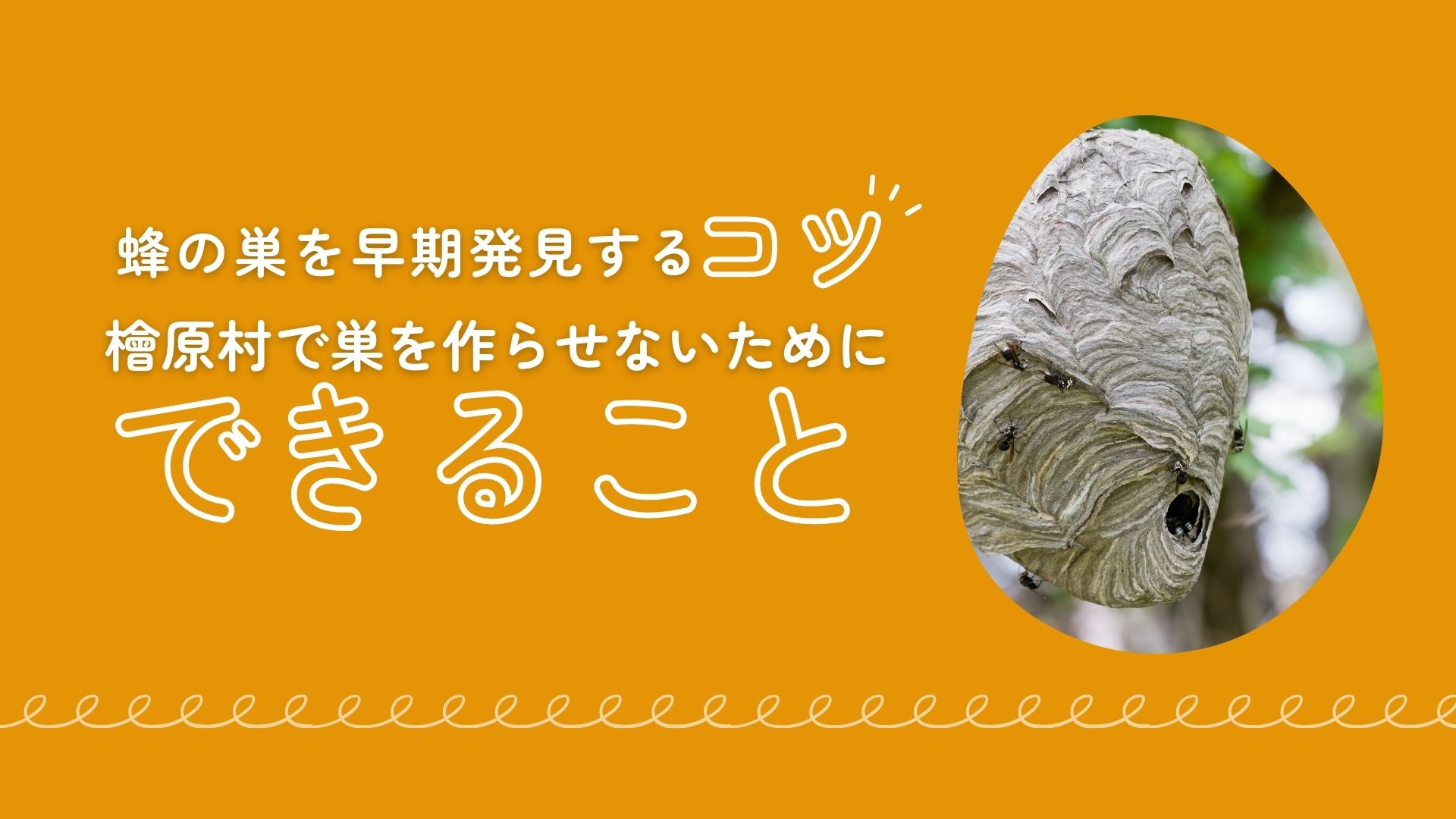 蜂の巣を早期発見するコツ – 檜原村で巣を作らせないためにできること