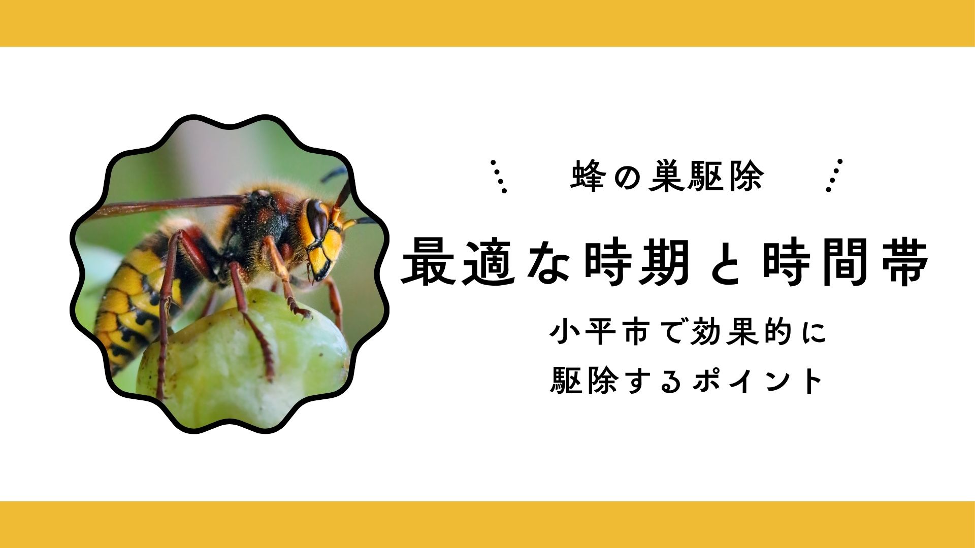 蜂の巣駆除に最適な時期と時間帯｜小平市で効果的に駆除するポイント
