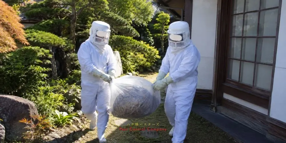 武蔵村山市で駆除後の蜂の巣を回収する防護服姿の作業員