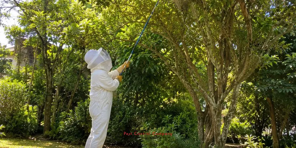 武蔵村山市の庭木にできたスズメバチの巣を駆除する防護服姿の作業員