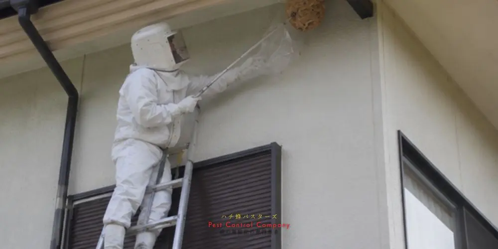 武蔵村山市の住宅外壁付近にできた蜂の巣をはしごで駆除する作業員