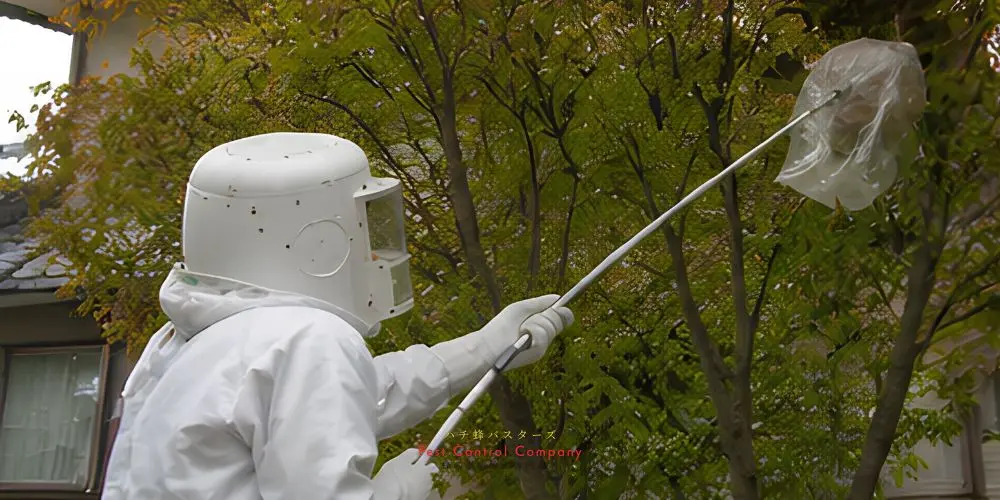 武蔵村山市の庭木にできた蜂の巣を専用器具で駆除する防護服姿の作業員