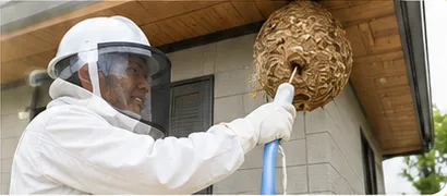 蜂の巣駆除作業