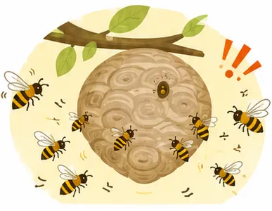 夏から秋にかけて蜂の数が増えるイメージ