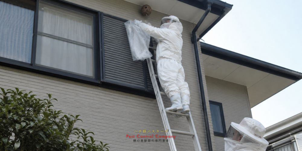 八王子市暁町の住宅2階外壁付近にできた蜂の巣を駆除する作業風景