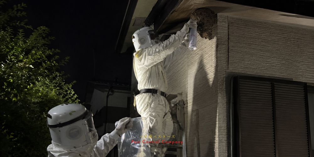 八王子市滝山町の住宅軒下にできた蜂の巣を夜間に駆除する作業風景