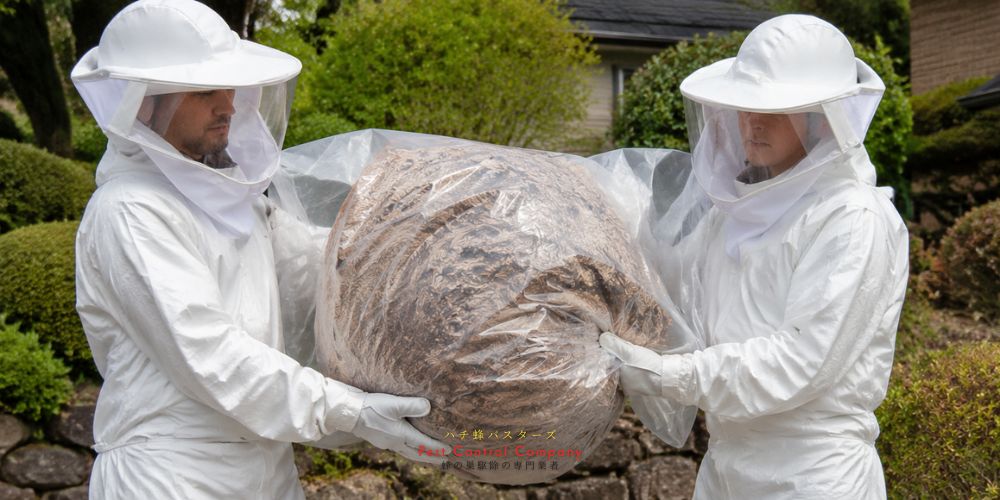 八王子市南大沢でスズメバチの巣を回収する蜂の巣駆除作業員