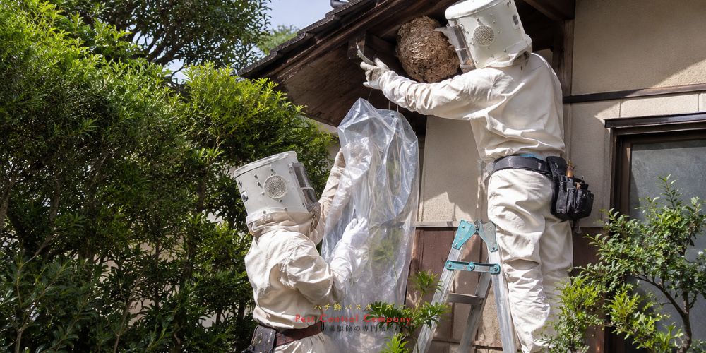 八王子市館町の軒下にできたスズメバチの巣を防護服で駆除