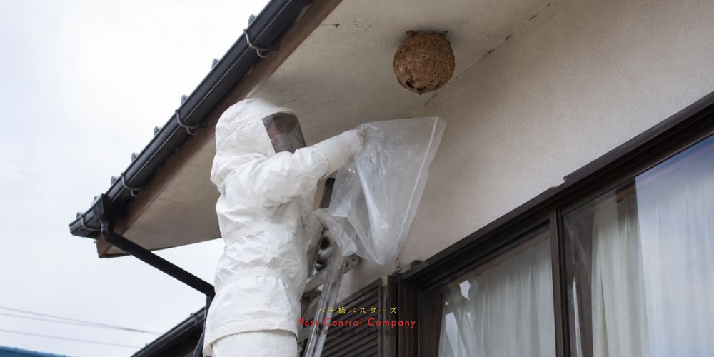 八王子市横山町の住宅軒下にできた蜂の巣をはしごで駆除する作業員