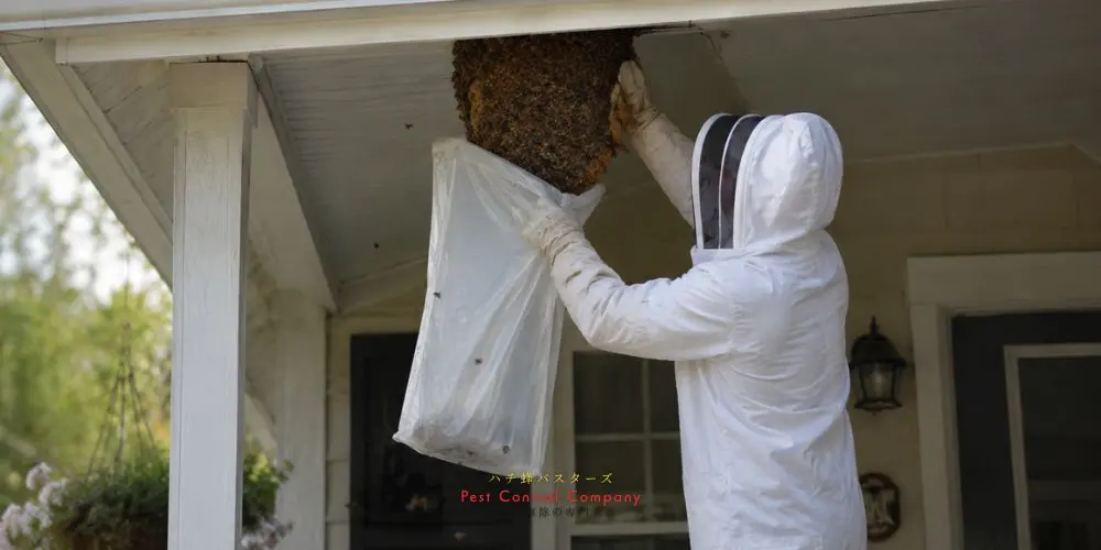 住宅軒下の蜂の巣を駆除する防護服姿の作業員