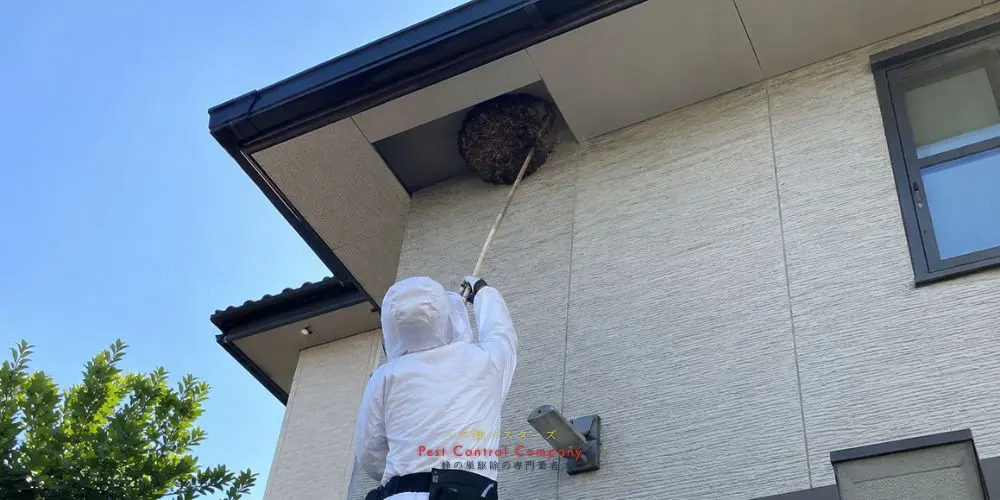 駆除後の蜂の巣を回収する作業員
