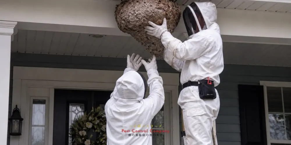 玄関軒下の大きな蜂の巣を二人で駆除する作業員