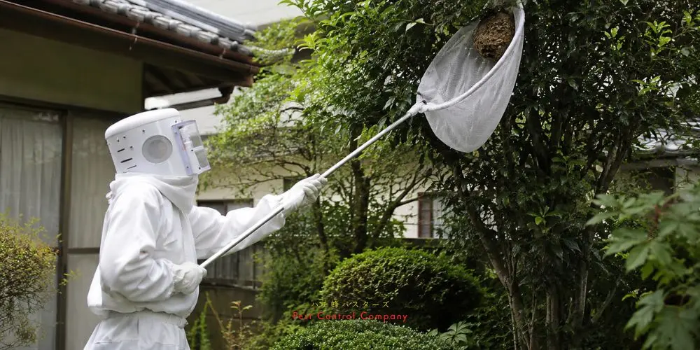 立川市で軒下の蜂の巣を袋で回収する作業員