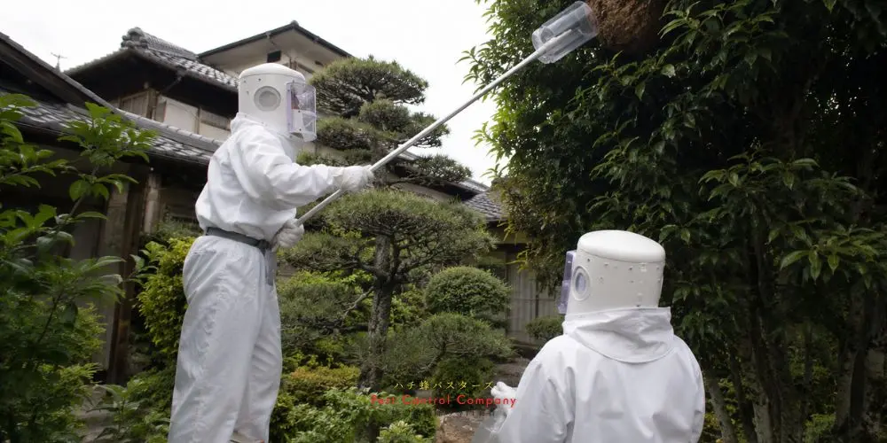 あきる野市の庭木にできた蜂の巣を安全に駆除