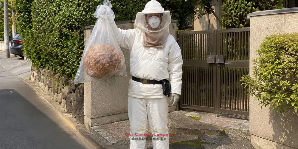 あきる野市で撤去した大型の蜂の巣を回収