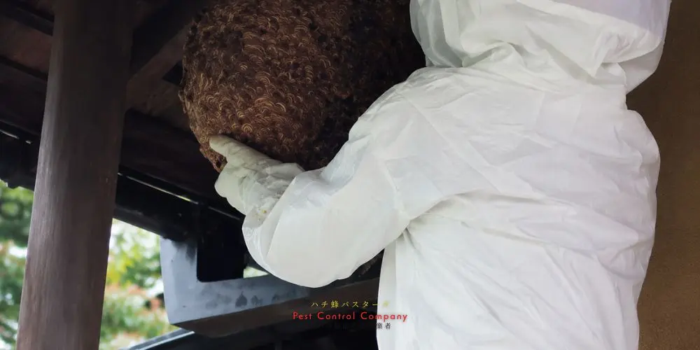 あきる野市の軒下にできた大型の蜂の巣を取り外す作業