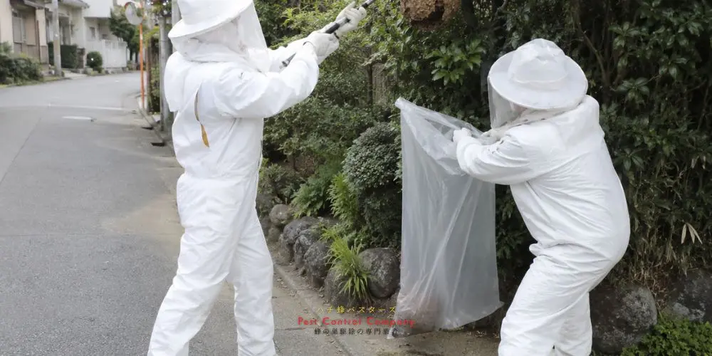 昭島市の庭木に作られた蜂の巣を撤去する作業員