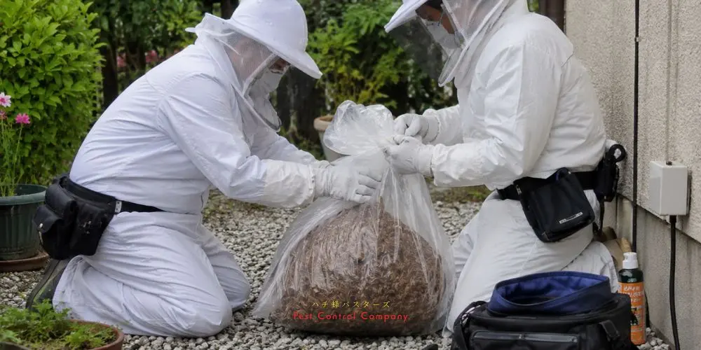 撤去した大型の蜂の巣を袋に密封する駆除作業