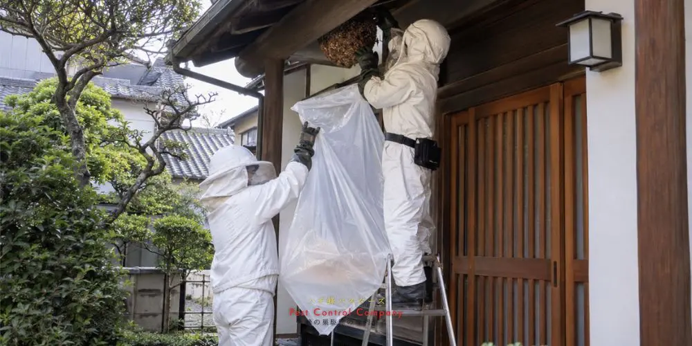昭島市の戸建て住宅で行う軒下の蜂の巣駆除
