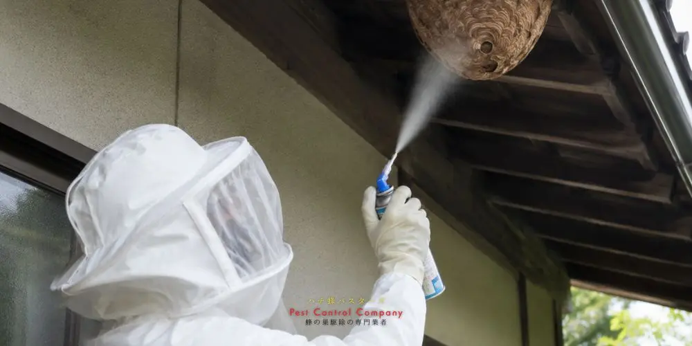 住宅の軒下にあるスズメバチの巣へ薬剤を噴射する作業