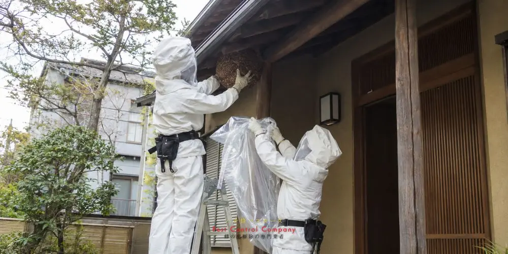 調布市の玄関軒下にできた蜂の巣を二人で撤去