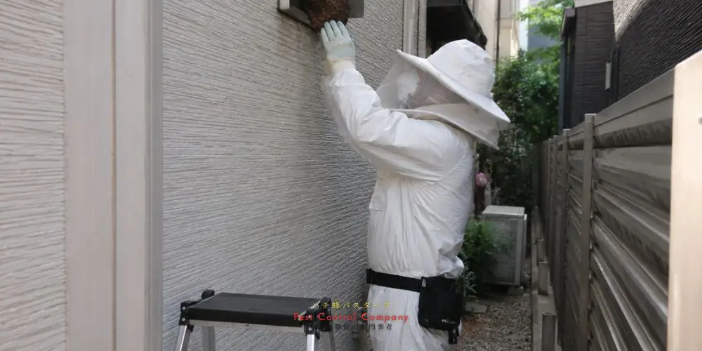 府中市の住宅外壁にできた蜂の巣の撤去作業
