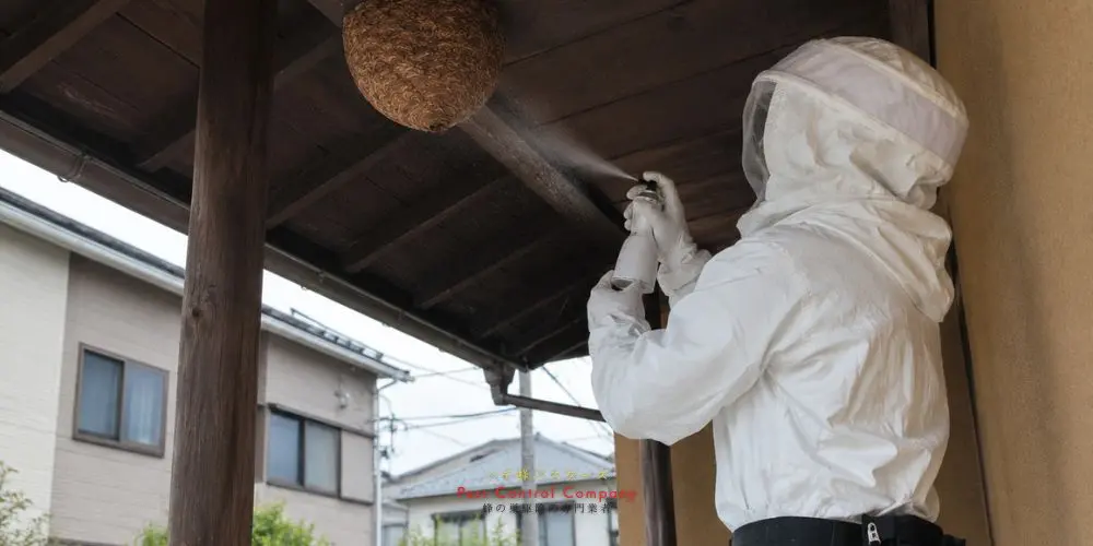 東久留米市で回収した大型の蜂の巣を袋詰めする作業