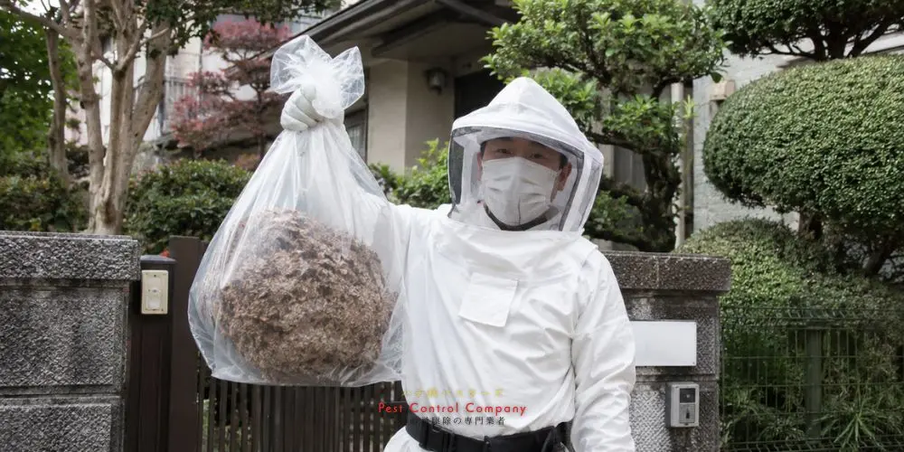 東久留米市の玄関軒下にできた蜂の巣へ薬剤を散布