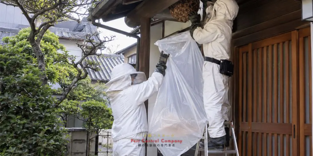 東村山市の軒下にできた大型蜂の巣撤去作業