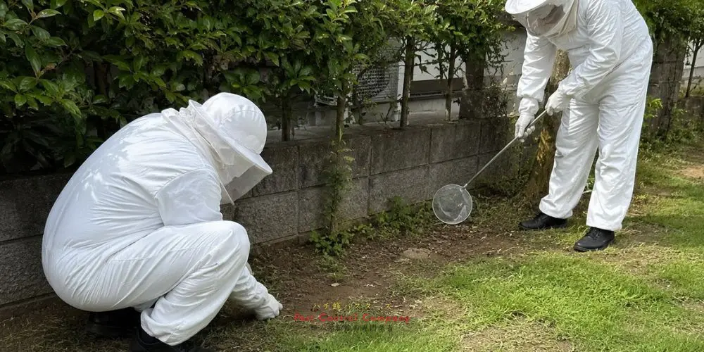 日野市の蜂の巣回収作業