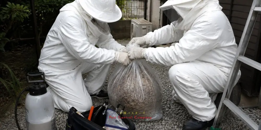 日野市にできた蜂の巣処理作業