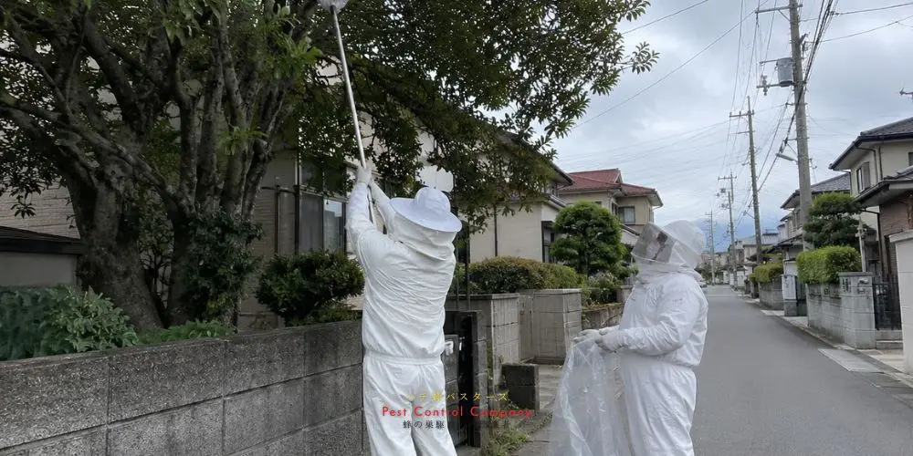 日野市の庭先で行う蜂の巣駆除後の確認作業