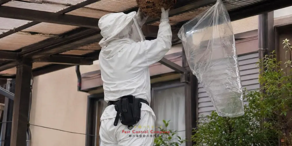 日野市のカーポート下にできた蜂の巣撤去作業