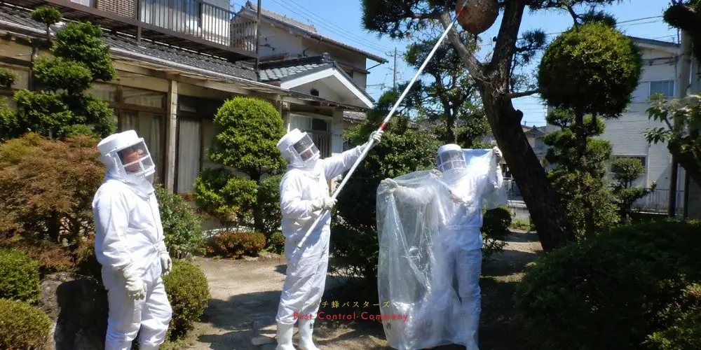 日の出町の庭木にできた高所の蜂の巣を連携して撤去
