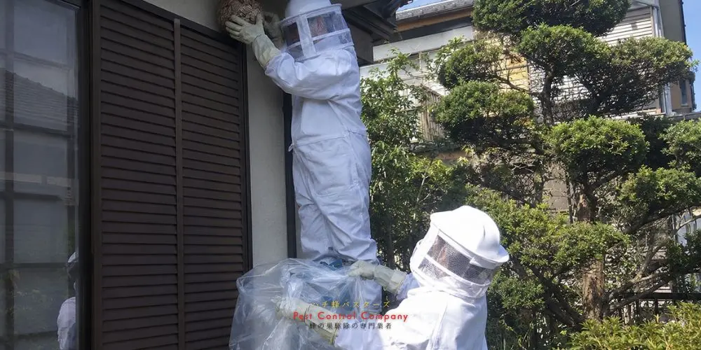 日の出町で回収した大型の蜂の巣と駆除スタッフ
