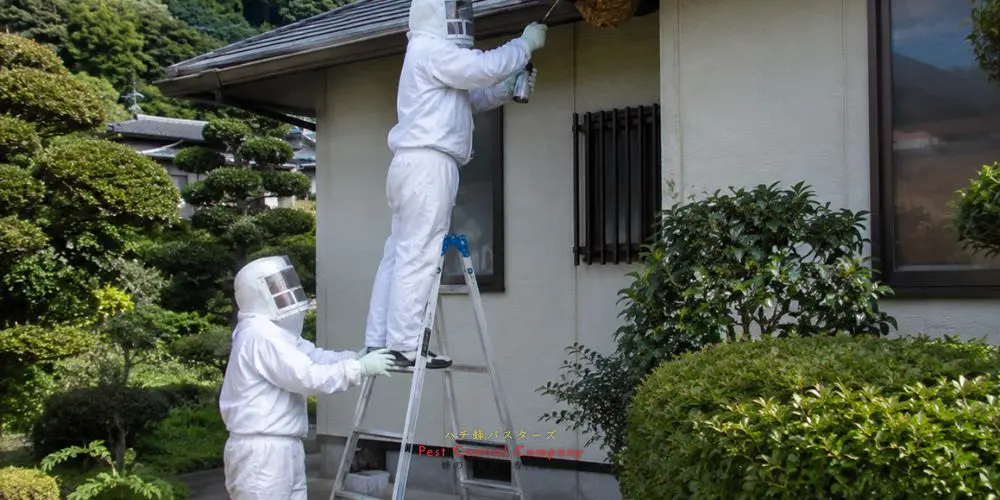 日の出町の軒下にできた大型蜂の巣への薬剤噴射作業