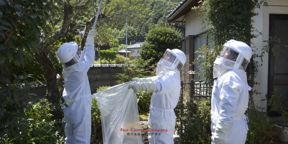 日の出町の庭木にできた蜂の巣を高所用器具で駆除