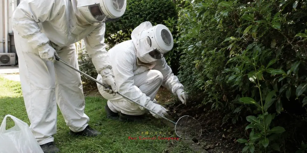 稲城市の住宅外壁にできた蜂の巣を二人で撤去する作業