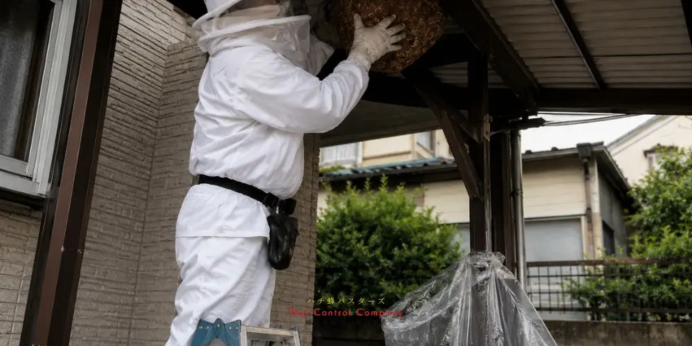 稲城市で回収した蜂の巣と駆除スタッフ
