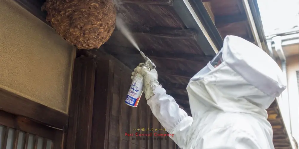 清瀬市の住宅軒下にできた蜂の巣へ薬剤を散布
