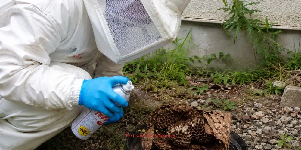 清瀬市の植え込み周辺にできた蜂の巣の撤去作業
